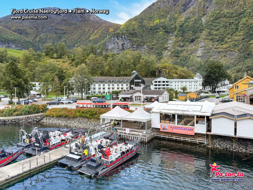 Fjord Cruise Naeroyfjord